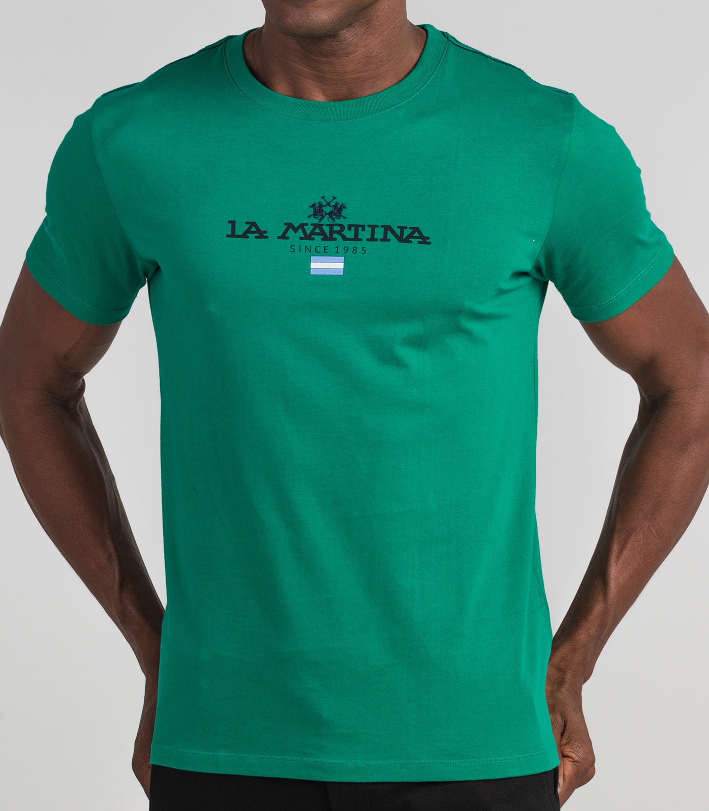 Camiseta Mc Meia Malha Regular Fit C/ Bordado No - Verde