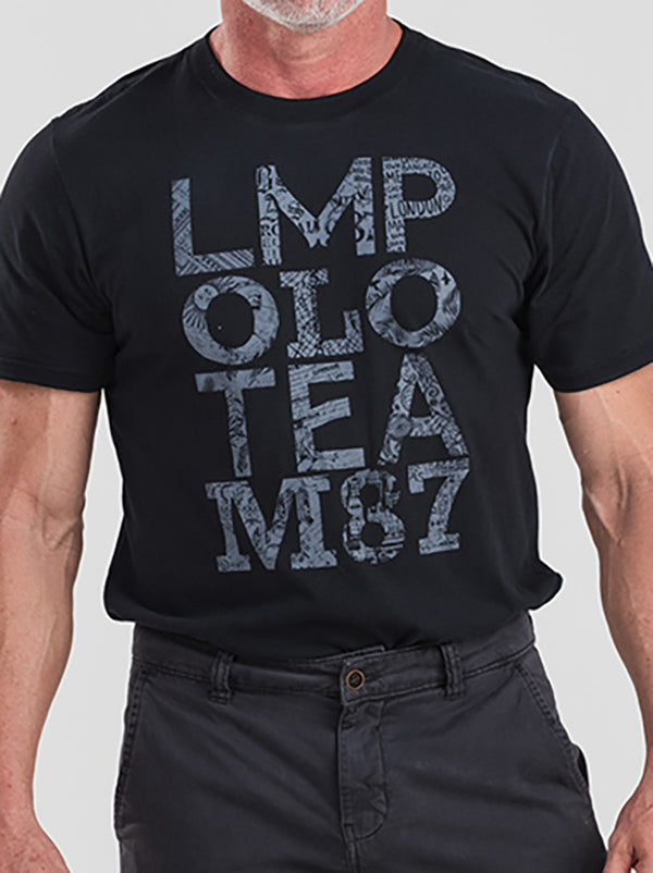 Camiseta Mc Meia Malha Regular Fit Lm Polo - Preto